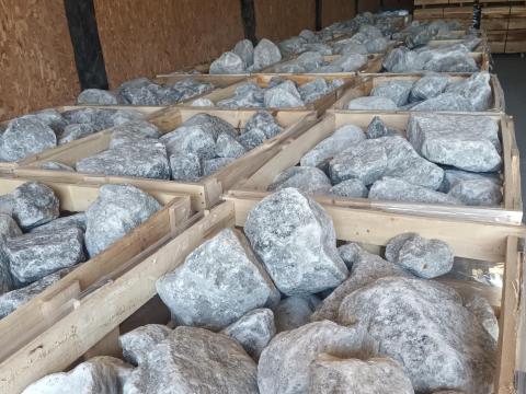 Kősó-nyalósó Kősó-nyalósó