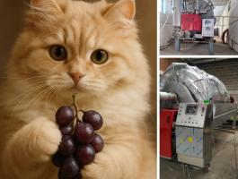 Használt SIPREM szőlőprések eladók – 2025-ös szürethez