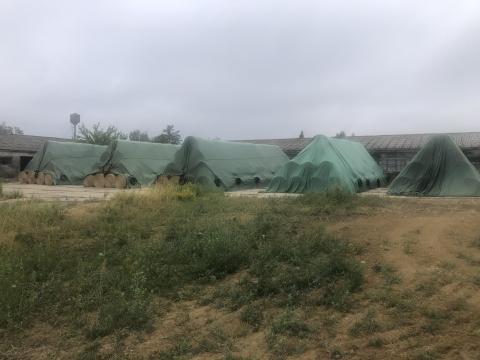 Eladó jó minőségű szénabála Eladó jó minőségű szénabála