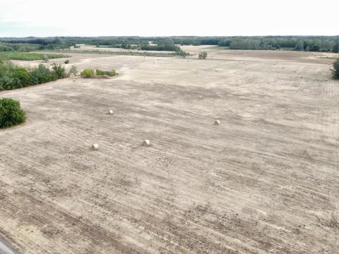 Ruzsán 10 hektár legelő, tanya épülettel, elektromos áram bekötéssel eladó Ruzsán 10 hektár legelő, tanya épülettel, elektromos áram bekötéssel eladó