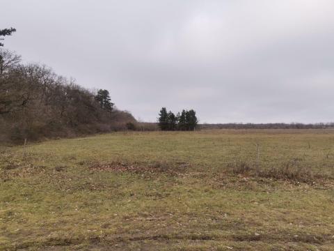 Csapodon 24.000 m2-es belterületi építési telek eladó Csapodon 24.000 m2-es belterületi építési telek eladó
