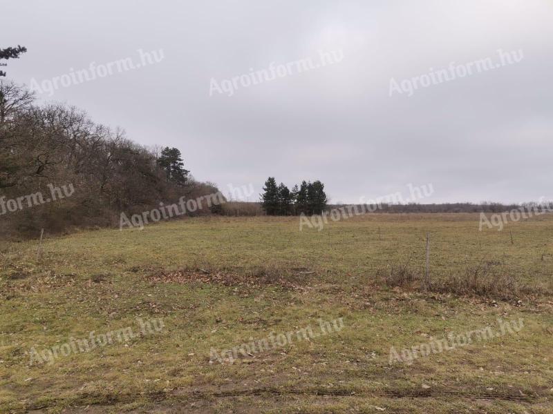 Csapodon 24.000 m2-es belterületi építési telek eladó