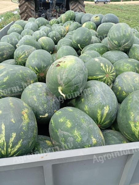 Görögdinnye eladó