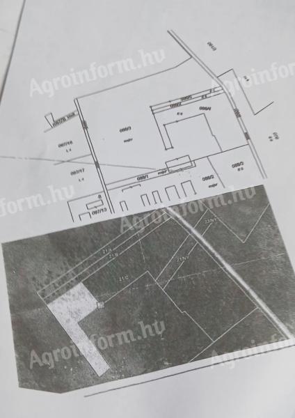 Erdő