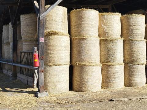 Eladó 120-as, kiváló minőségű réti széna Eladó 120-as, kiváló minőségű réti széna