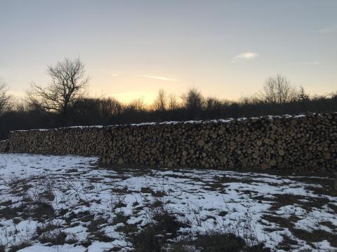 Felkészítetlen faáru – tűzifa / oszlop / rönk (garantált mennyiség,  erdőgazdálkodótól)