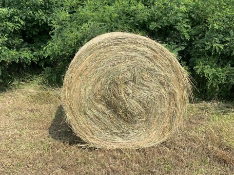 Réti széna Réti széna