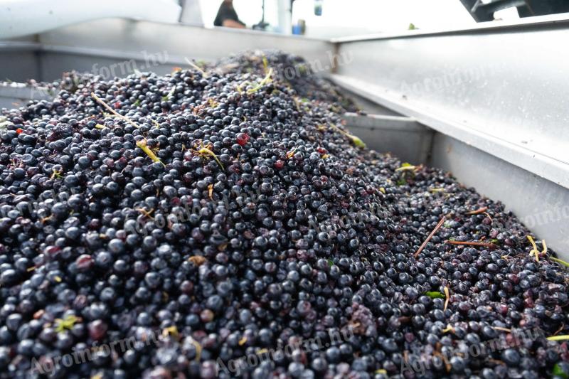 Eladó Cabernet Franc, Merlot, Kékfrankos szőlő