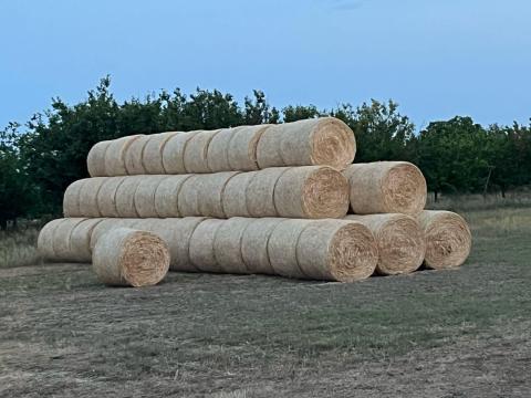 Búza szalma eladó Búza szalma eladó