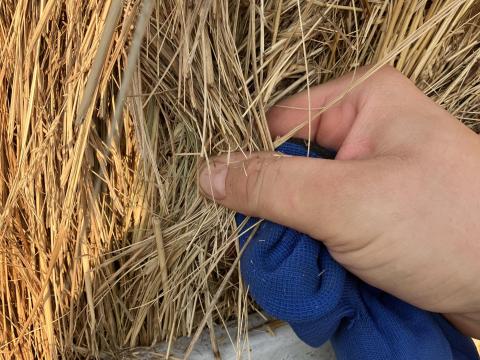 Körbálás Széna eladó Körbálás Széna eladó