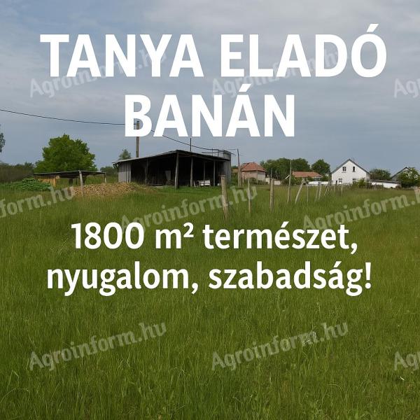 Eladó tanya Banán – Bábolnához közel, csendes zsákutca végén