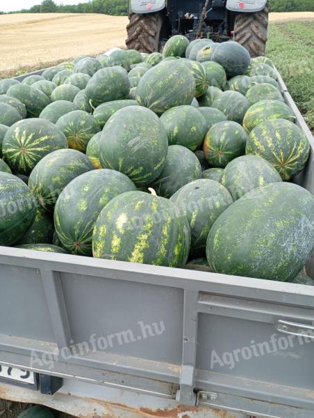 Rubin görögdinnye eladó