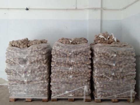 Sárga burgonya, krumpli eladó Sárga burgonya, krumpli eladó