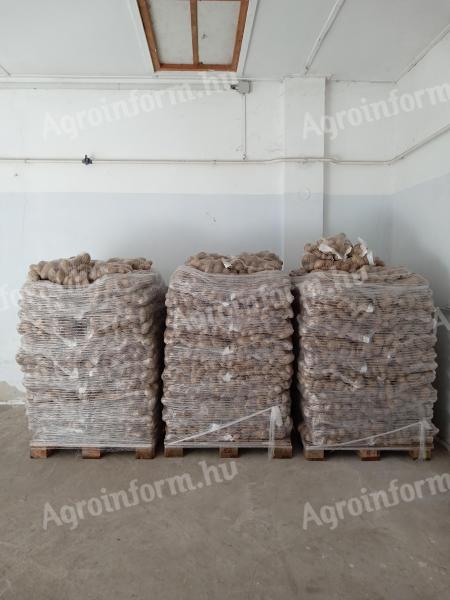 Sárga burgonya, krumpli eladó