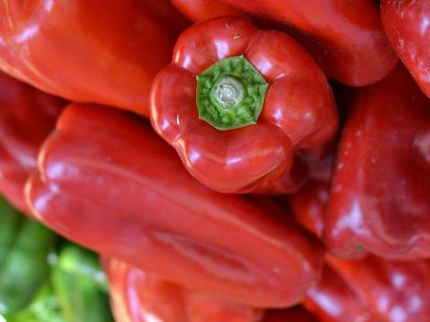 Keresek friss Kapia, Cecei és Bogyiszlói paprikát Keresek friss Kapia, Cecei és Bogyiszlói paprikát