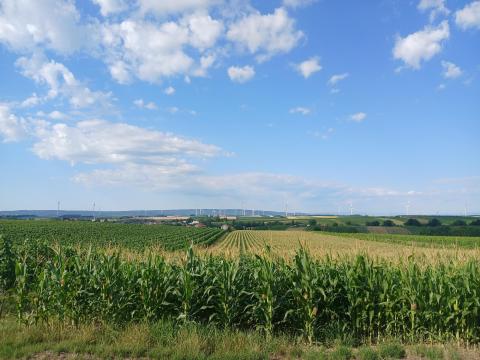 Kézi munkaerő Kézi munkaerő