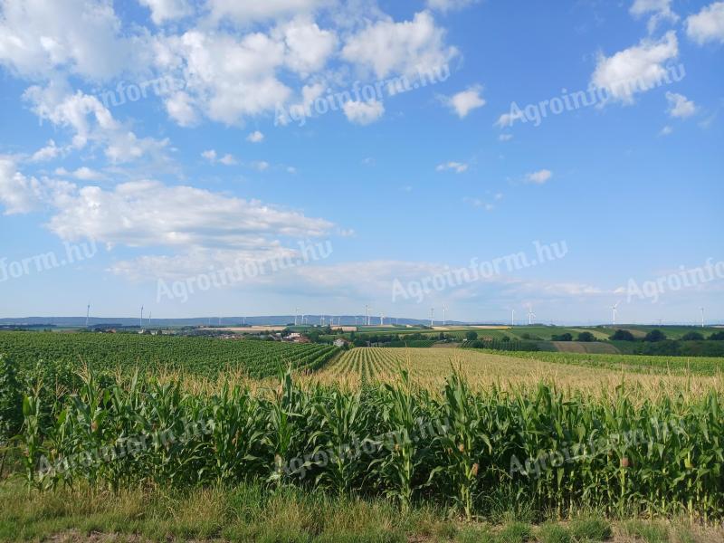 Kézi munkaerő