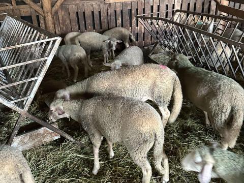 Mezőcsát Mezőcsát