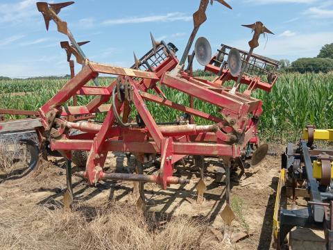 Vogel Noot grúber eladó