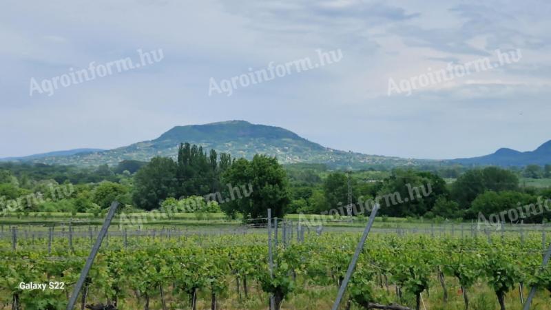 Balaton közelében pince eladó