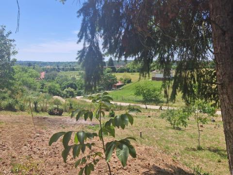 Balaton közelében eladó telek Balaton közelében eladó telek