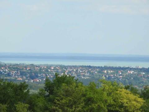 Balaton közelében eladó telek Balaton közelében eladó telek