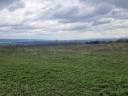 Balaton közelében eladó telek