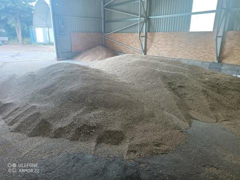 Bio rozs eladó Bio rozs eladó