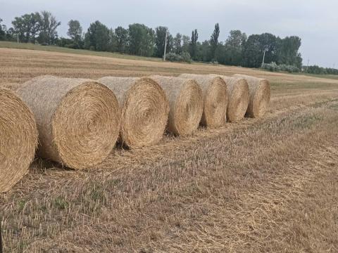 Szalma körbála Szalma körbála