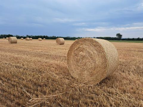 Szalma bála Szalma bála