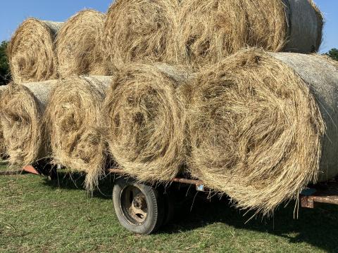 Körbálás széna eladó Körbálás széna eladó