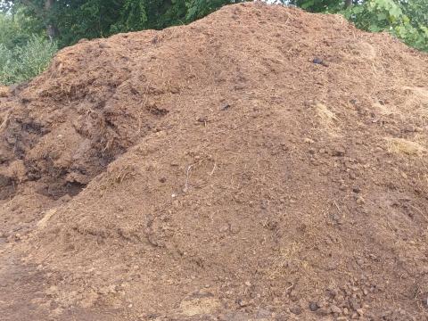 Ingyen lótrágya Ingyen lótrágya