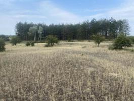 34 ha (támogatott) Natura 2000 legelő eladó