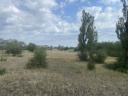 34 ha (támogatott) Natura 2000 legelő eladó