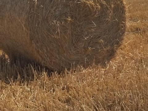 Szalma bála Szalma bála