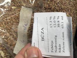 Búza vetőmag, Alicantus és Apexus