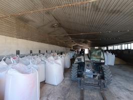 Búza vetőmag – Alicantus és Apexus prémium fajták eladók