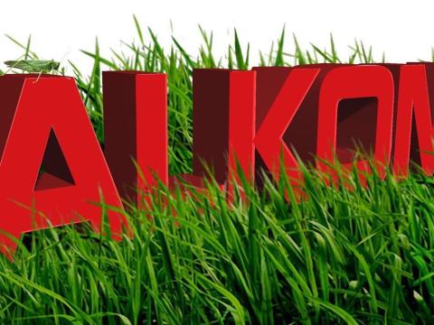 Kerti gépek széles körű forgalmazása és szervizelése Kerti gépek széles körű forgalmazása és szervizelése