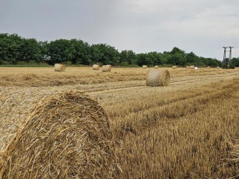 Szalmabála Szalmabála