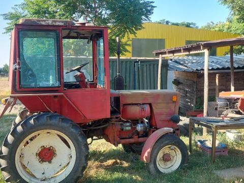 Belarusz T25 Belarusz T25