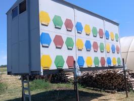 Méh konténer eladó – 60 családos NB rendszerű, külső etetővel