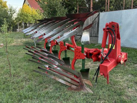 Vogel Noot eke Vogel Noot eke