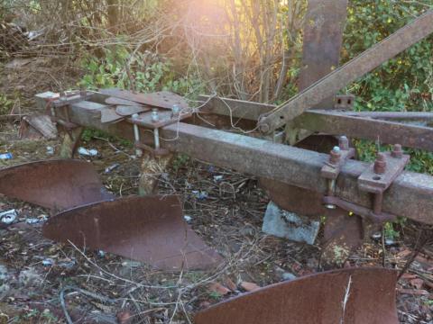 Háromfejes eke eladó Háromfejes eke eladó