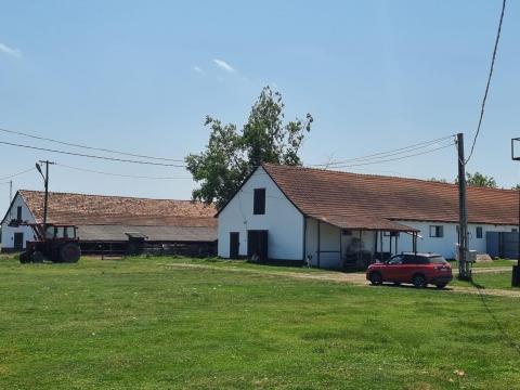 Tanya eladó összkomfortos lakóházzal, istállókkalTiszapalkonya külterületén + 40 ha bérleti lehetőség Tanya eladó összkomfortos lakóházzal, istállókkalTiszapalkonya külterületén + 40 ha bérleti lehetőség