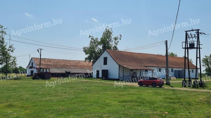 Tanya eladó összkomfortos lakóházzal,  istállókkalTiszapalkonya külterületén + 40 ha bérleti lehetőség