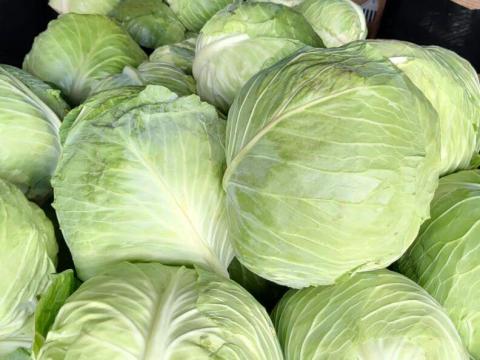 Nagykereskedelmi mennyiségben árulok fehér káposztát