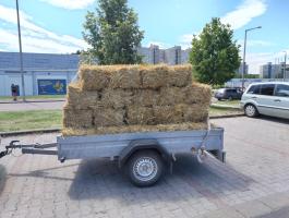 Kis kocka búzaszalma bála