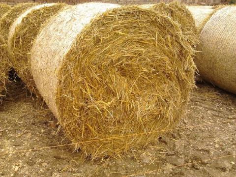 Szalmabála, búzaszalma eladó Szalmabála, búzaszalma eladó