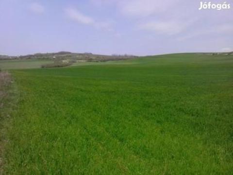 Szántóföldet bérelnék Szántóföldet bérelnék