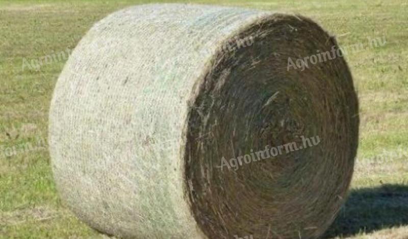 Lucerna szénát keresek